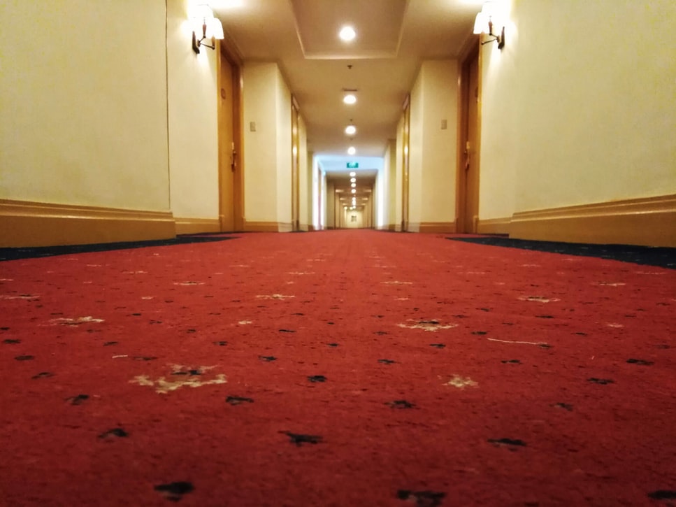 How Commercial Carpet Cleaning Saves Money For Your Business